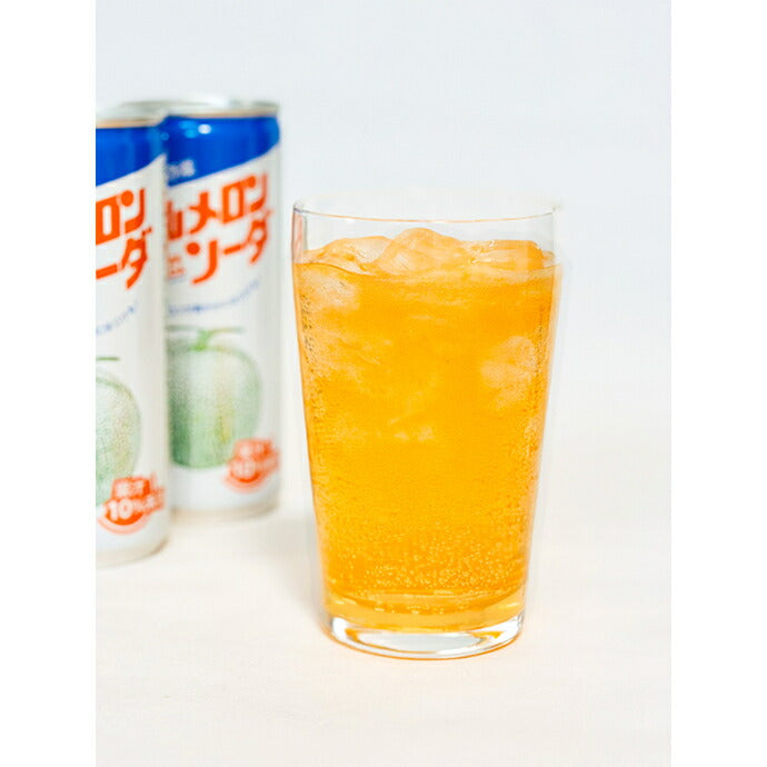 谷口農場 中山メロンソーダ 250ml缶×30本入【日本出荷】
