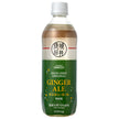 Seijo Ishii Ginger Ale, 500ml PET Bottles x 24 [Ships from Japan]