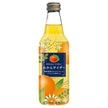 川崎飲料 みかんサイダー 340ml瓶×24本入【日本出荷】