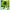 Nestlé Japon Nestlé Portion Uji Matcha Latte (11 g x 7P) x 24 sachets 