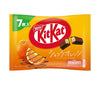 Nestle Japan KitKat Chocolat Orange 7 pieces x 12 bags 