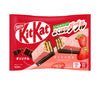 Nestle Japan KitKat Yokubari Double Adult Sweetness Strawberry & Original 10 pieces x 12 bags 