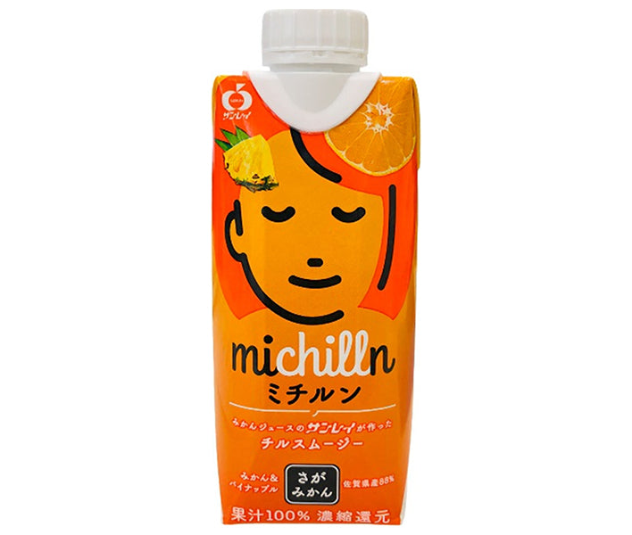 JAビバレッジ佐賀 ミチルン 330ml紙パック×12本入【日本出荷】