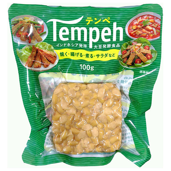 ヤマク食品 テンペ 100g×10袋入【日本出荷】