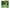 Uji no Tsuyu Tea Iyemon Koicha Matcha Latte 120g x 12 bags 