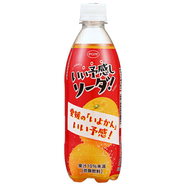 えひめ飲料 POM(ぽん) いい予感しソーダ 500mlペットボトル×24本入【日本出荷】