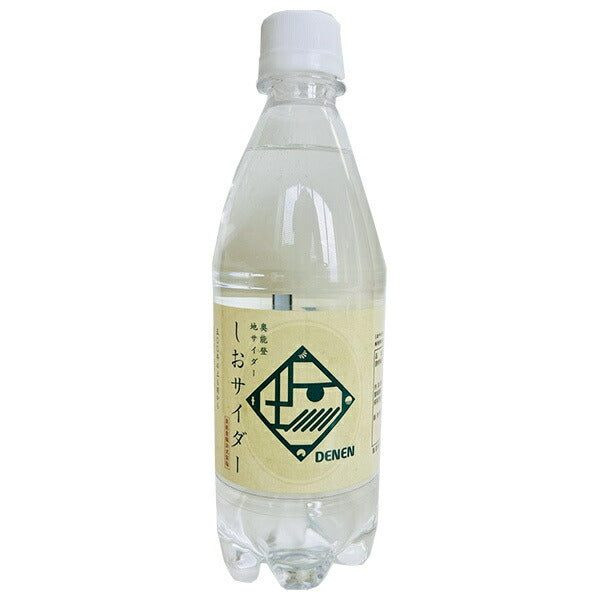 Ante(アンテ) 奥能 登地サイダー しおサイダー 500mlPET×24本入【日本出荷】