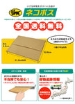 森永製菓 inバー ジュニアプロテイン ココア ×12本入【日本出荷】