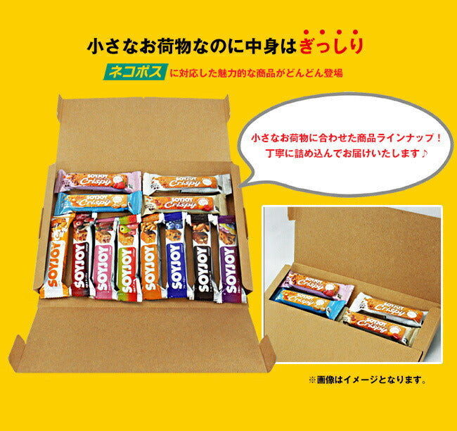Morinaga & Co. in Bar Junior Protein Cocoa x 12 bottles [shipped in Japan]