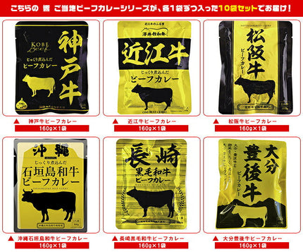 Hibiki Local beef curry 10 types assorted set 160g x 10 bags [shipped in Japan]