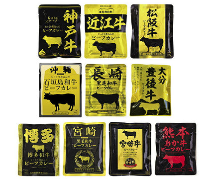 Hibiki Local beef curry 10 types assorted set 160g x 10 bags [shipped in Japan]
