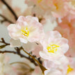 Blossom Artificial Potted Tree 8'