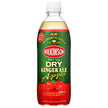 Asahi Beverages Wilkinson Dry Ginger Ale Pomme Bouteille PET de 500 ml x 24