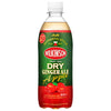 Asahi Beverages Wilkinson Dry Ginger Ale Pomme Bouteille PET de 500 ml x 24