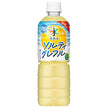 Asahi Soft Drinks Delicious Water Natural Water Salty Greffle 600ml PET bottle x 24 pieces [Shipped in Japan]