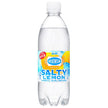 アサヒ飲料 ウィルキンソン タンサン ソルティレモン 500mlペットボトル×24本入【日本出荷】