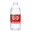 Asahi Beverage Wilkinson Tansan Bouteille en plastique de 500 ml x 24 bouteilles 
