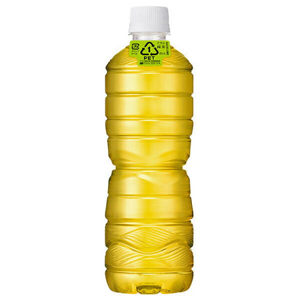 Bouteille sans étiquette de thé vert Asahi Beverage Bouteille PET de 630 ml x 24 bouteilles 