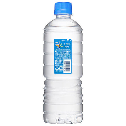 Asahi Beverages Delicious Water Natural Mineral Water Rokko Simple Eco Label 585ml PET Bottle x 24 Bottles 