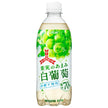 アサヒ飲料 三ツ矢 果実のあまみ 白葡萄 500mlペットボトル×24本入【日本出荷】