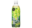 Asahi Beverage Mitsuya Tokuno Muscat Squash Bouteille en plastique de 500 ml x 24 bouteilles 