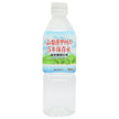霧島湧水 山梨県甲州の5年保存水 500mlペットボトル×24本入【日本出荷】
