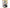 Fujicco Omamesan Tanba Black Beans 135g x 10 bags 