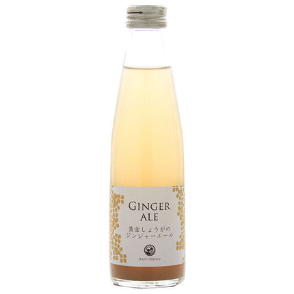 [5% OFF all items! Starting 1/15! ] Studio Okamura Golden Ginger Ginger Ale 195ml bottles x 24 bottles 