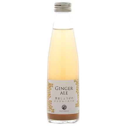 Studio Okamura Golden Ginger Ginger Ale 195ml bottle x 24 bottles