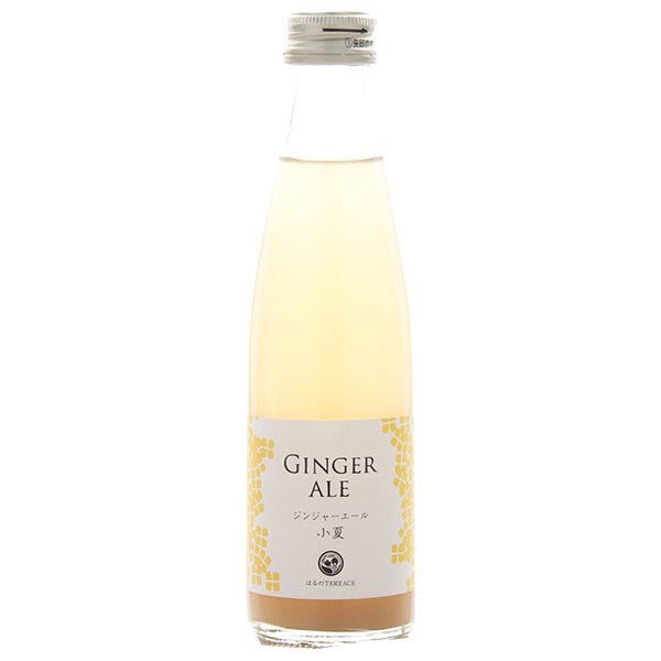 [5% OFF all items! Starting 1/15! ] Studio Okamura Ginger Ale Konatsu 195ml bottle x 24 bottles 