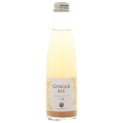 [5% OFF all items! Starting 1/15! ] Studio Okamura Ginger Ale Konatsu 195ml bottle x 24 bottles 