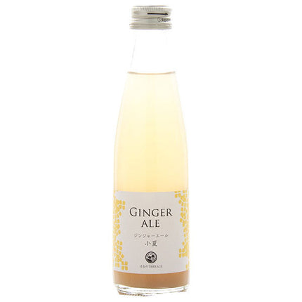 Studio Okamura Ginger Ale Konatsu 195ml bottle x 24 bottles