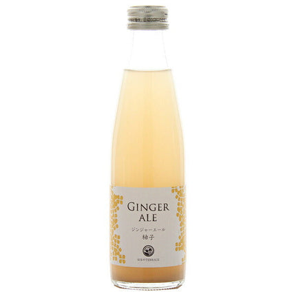 Studio Okamura Ginger Ale Yuzu 195ml bottle x 24