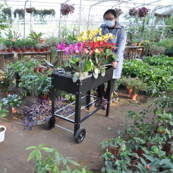 Rolling Mobile Raised Garden Bed Cart Planter Garden Bed Cart