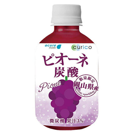 JR East acure made Pione Carbonated 265ml PET bottle x 24 bottles 