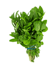 Mint Leaf