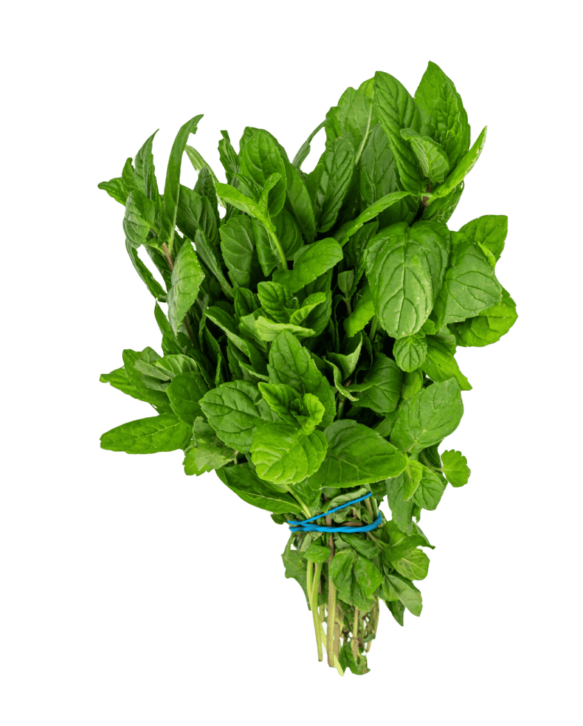 Mint Leaf