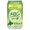 伊藤園 ニッポンエール 北海道産らいでんメロンソーダ 350ml缶×24本入【日本出荷】