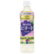 伊藤園 ニッポンエール 岡山県産 ピオーネ 500gペットボトル×24本入【日本出荷】