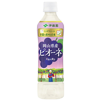 Itoen Nippon Ale Pione from Okayama Prefecture 500g plastic bottle x 24 bottles [shipped in Japan]