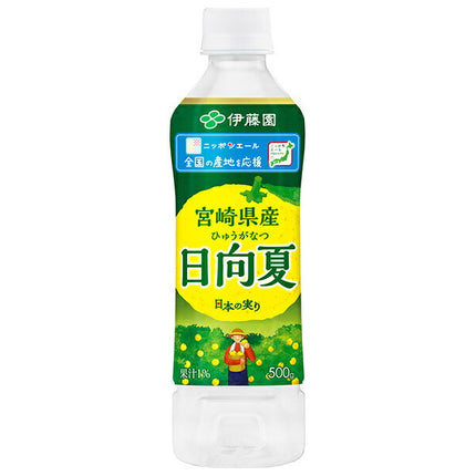Itoen Nippon Ale Hyuganatsu from Miyazaki Prefecture 500g plastic bottle x 24 bottles [shipped in Japan]