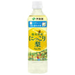 Itoen Nippon Ale from Tochigi Prefecture Nikkori Pear 500g plastic bottle x 24 bottles [shipped in Japan]