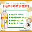 ダイドー 和ノチカラ 旬搾りゆず炭酸水 500mlペットボトル×24本入【日本出荷】