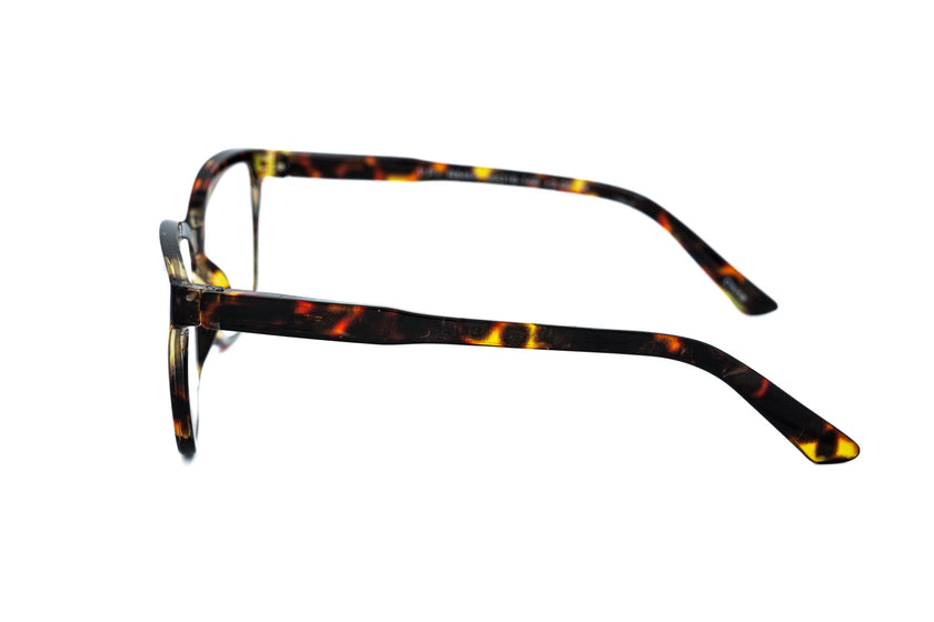Mireille – Oversized Cat-Eye Reading Glasses | Bolero Eyewear