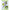 Sakuranan Foods Matcha Kuzuyu 25g x 4 x 15 sachets 