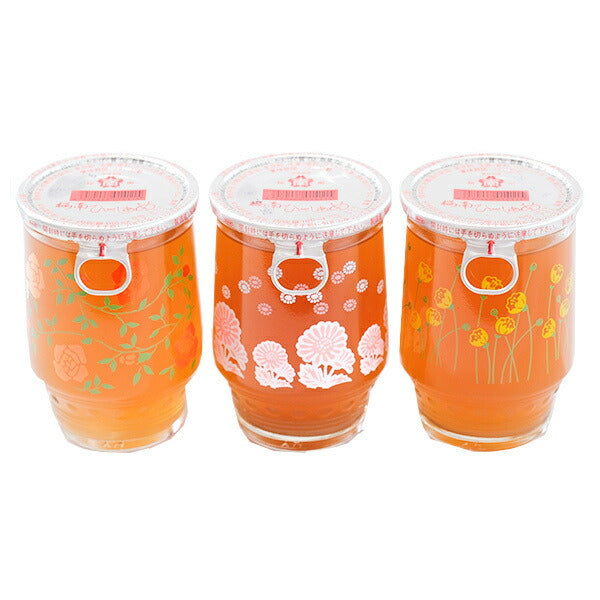 Sakuranan Foods Hiyashi Ame 180ml bottle x 30 pieces [shipped in Japan]