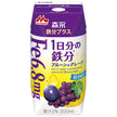 Morinaga Dairy Iron Plus, apport quotidien en fer (brique Prism), 200ml x 24 briques.