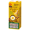 森永乳業 7種のスパイス香る ジンジャーラテ 200ml紙パック×24本入【日本出荷】