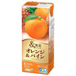 Elbee & Fruit Orange & Pine 200ml paper pack x 24 pieces [shipped in Japan]