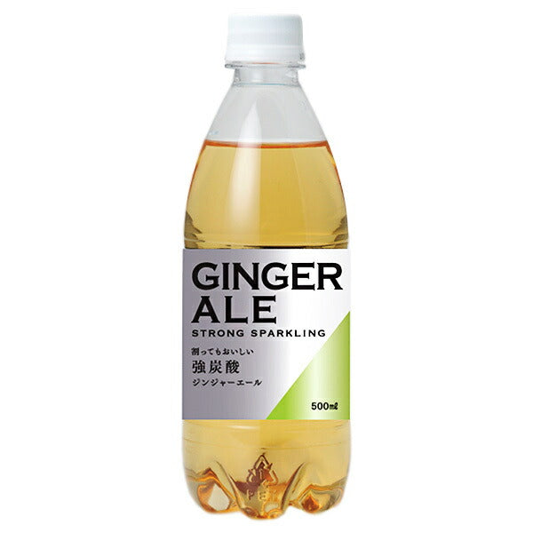 友桝飲料 ジンジャーエール 500mlペットボトル×24本入【日本出荷】